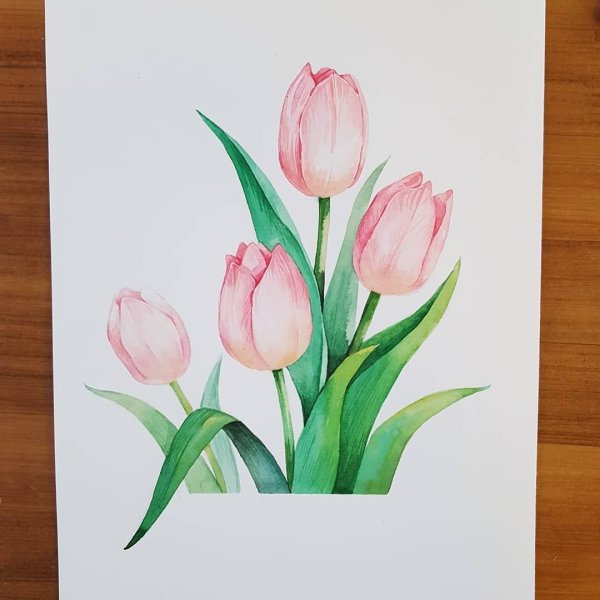 Тюльпаны фломастерами