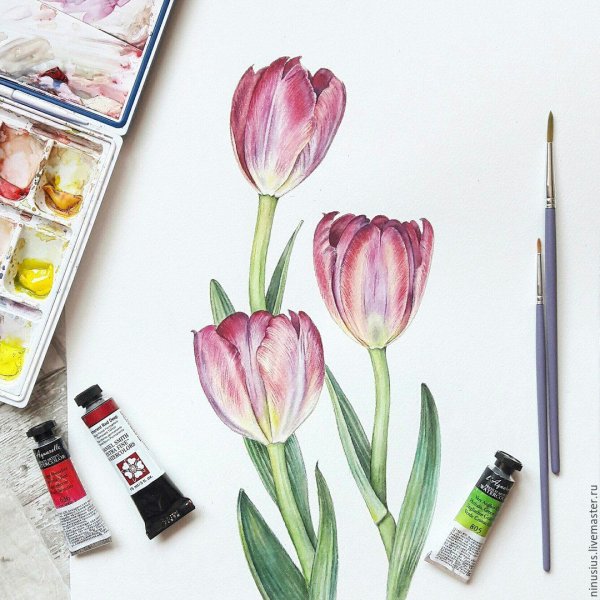 Тюльпаны скетч маркерами