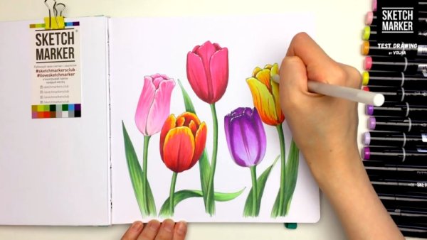 Цветы скетч маркерами