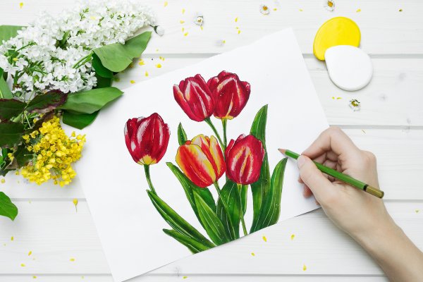Тюльпаны фломастерами