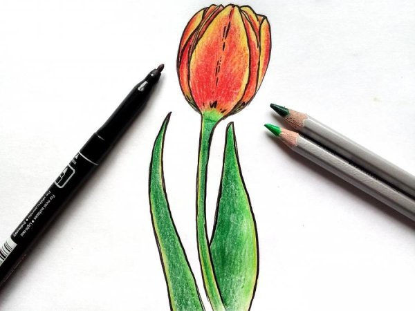 Ирина Шельменко Ботаническая иллюстрация