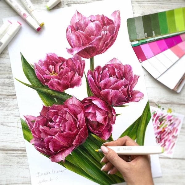 Тюльпан сверху маркерами