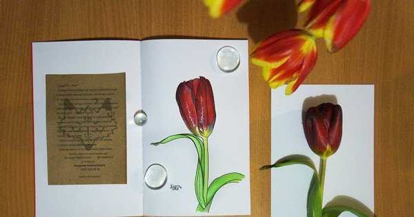 Тюльпаны скетч маркерами