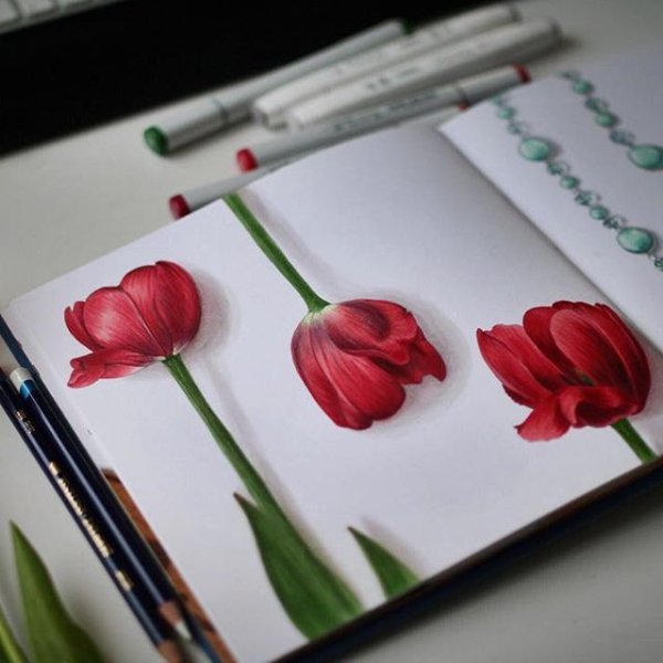 Тюльпаны маркерами