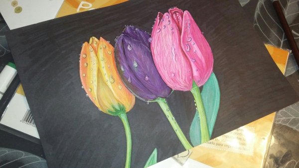 Тюльпаны скетчинг