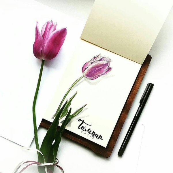 Тюльпаны нарисованные спиртовыми маркерами