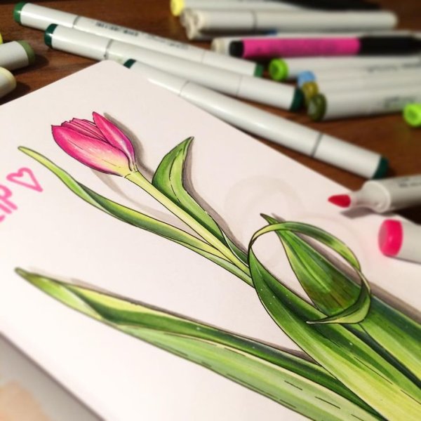 Рисование маркерами для скетчинга для начинающих тюльпан