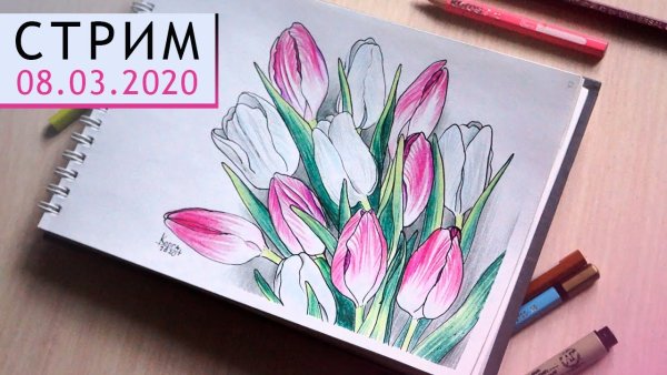 Тюльпаны акварелью скетч