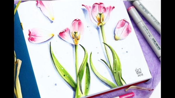 Тюльпаны маркерами