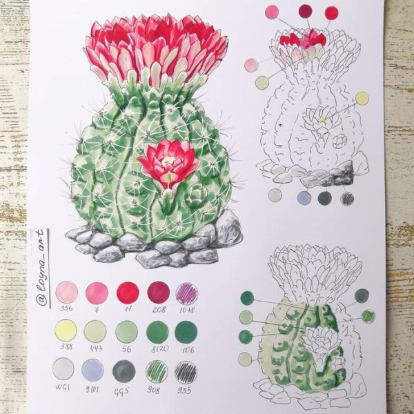 Рисунки спиртовыми маркерами