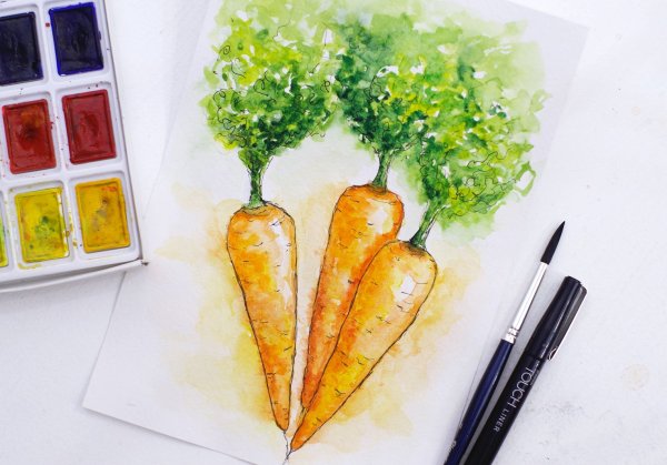 Морковь раскраска