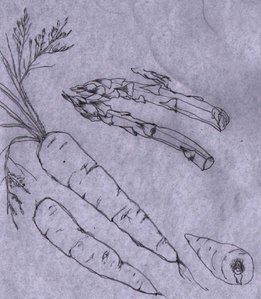 Морковь раскраска