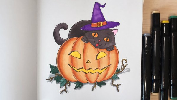 Как нарисовать котика на тыкве маркером на Хэллоуин