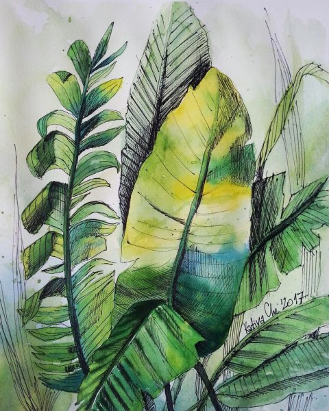 Листья цветными карандашами