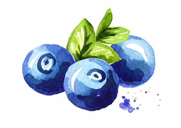 Акварельная голубика
