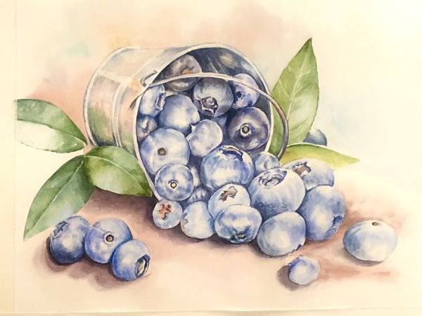 Черника маркерами