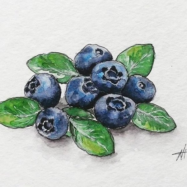 Голубика маркерами