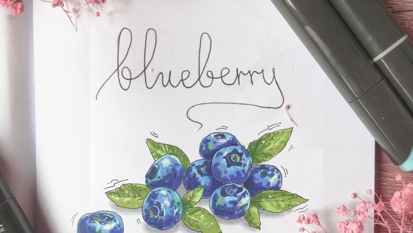 Черника скетч