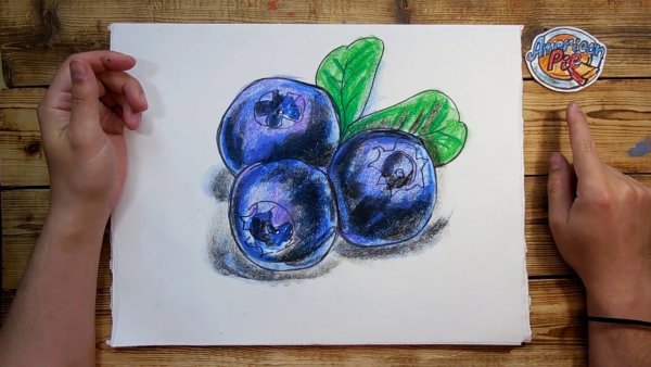 Голубика маркерами