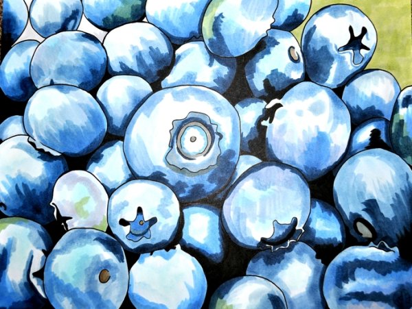 Черника скетч маркерами