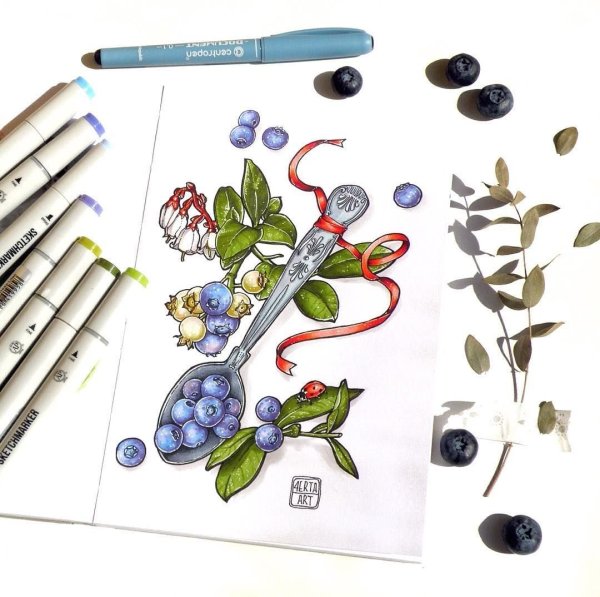 Черника акварель