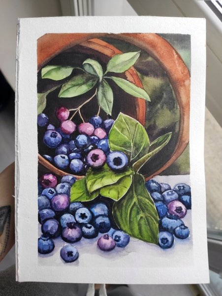 Голубика живопись