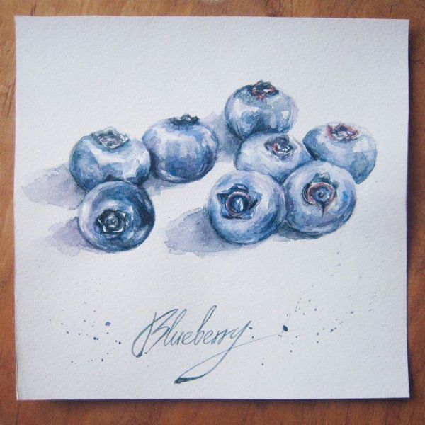Рисунок голубики для скетчбука