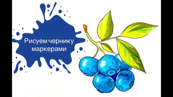 Наброски акварелью голубика