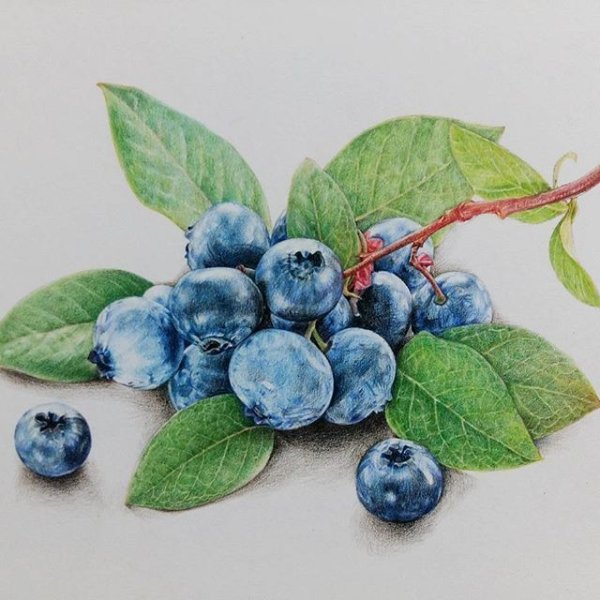 Еда акварелью