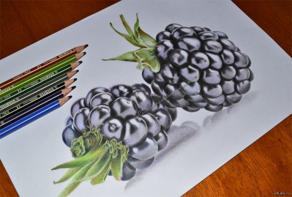 Ягоды цветными карандашами