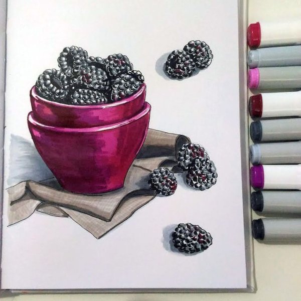 Ежевика референс