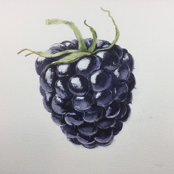 Ягоды маркерами