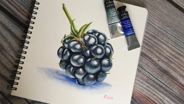 Фрукты акварелью для скетчбука