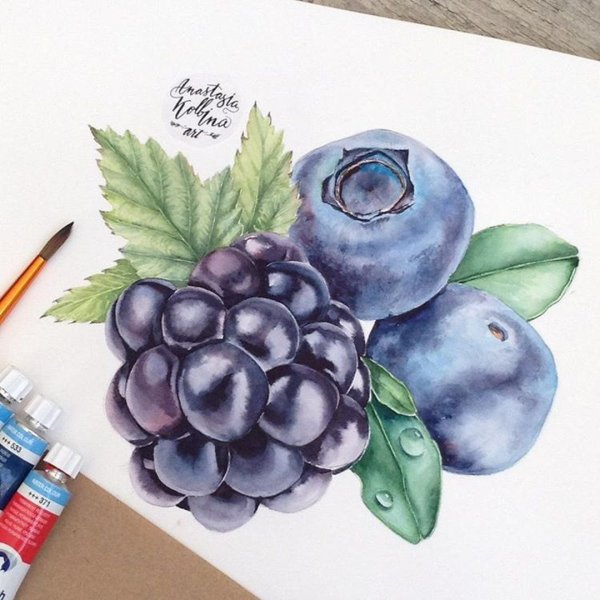 Ежевика акварель