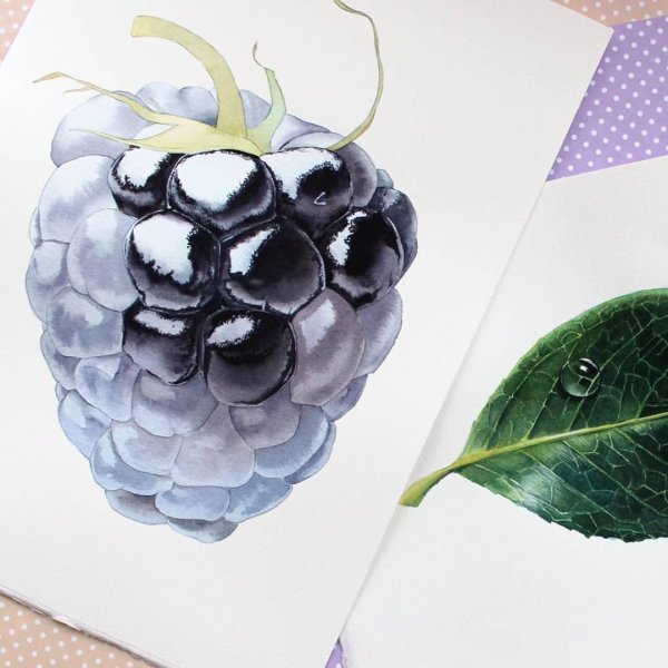 Скетчинг малина