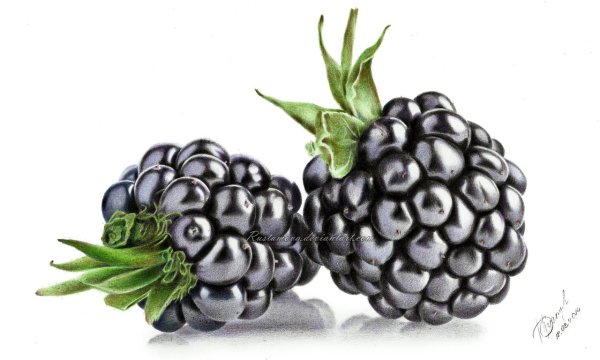 Скетчинг маркерами фрукты