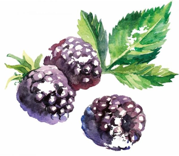 Евгения Бабичева художник