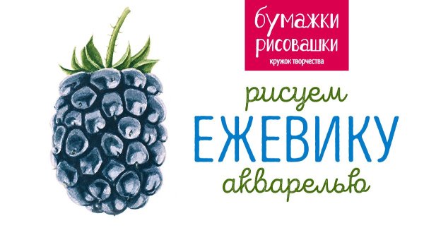Ежевика акварель
