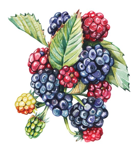 Капкейк акварель