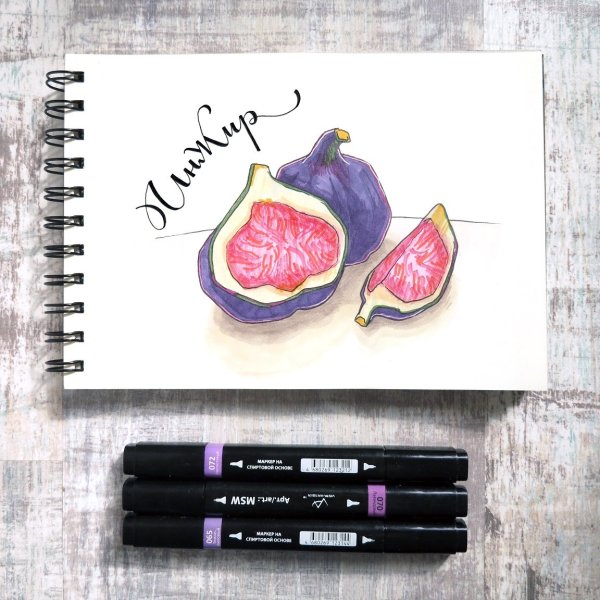 Инжир скетч маркерами