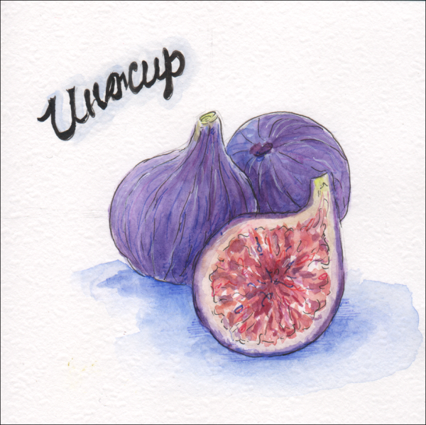 Инжир скетчинг