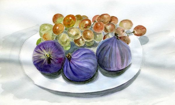 Картинки винограда и инжира акварелью