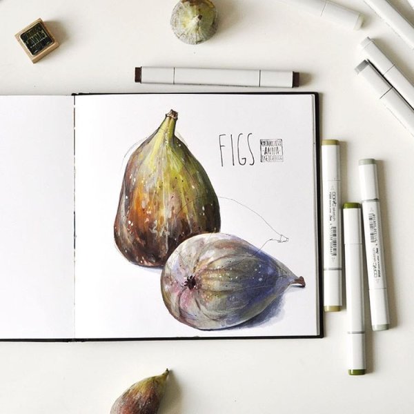 Инжир скетч маркерами