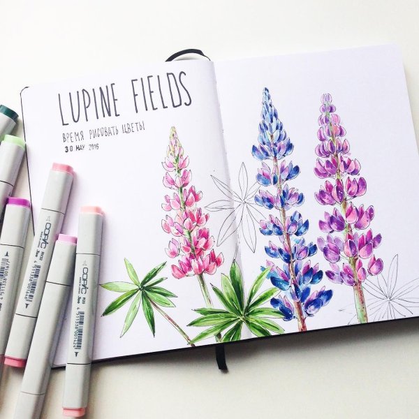 Скетчбук для акварельных маркеров