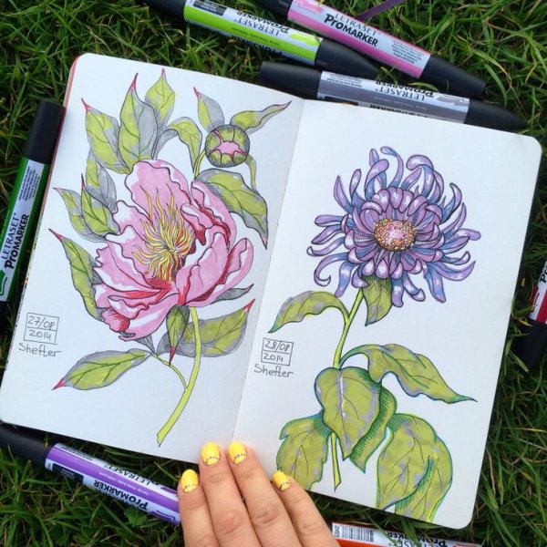 Цветы маркерами для скетчинга
