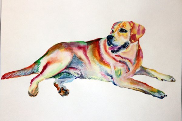 Лабрадор акварель