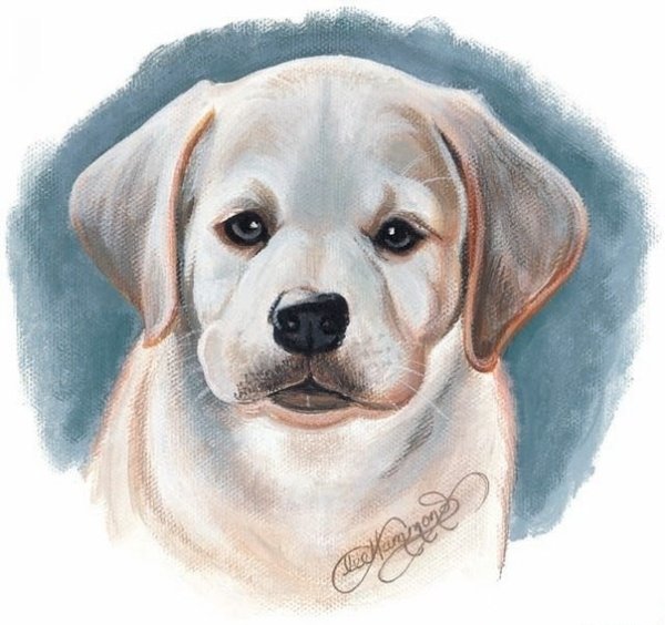 Лабрадор арт мультяшный