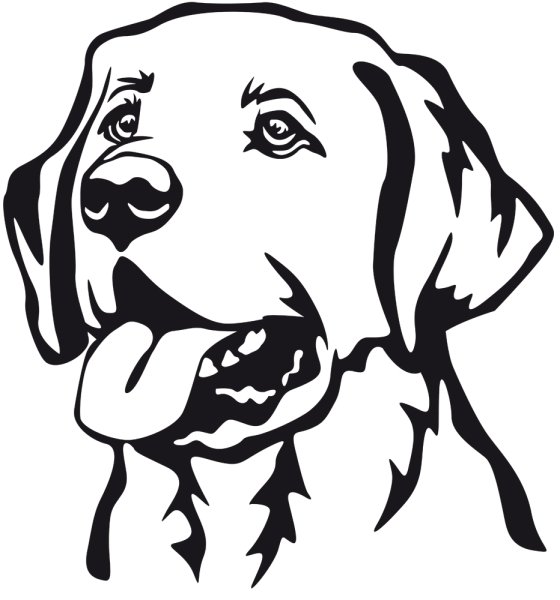 Лабрадор вектор