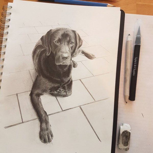 Лабрадор рисунок гелевой ручкой