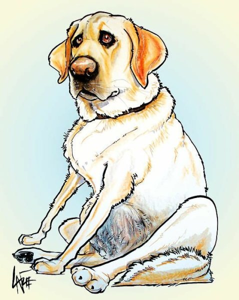 Собака карикатура